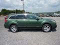Cypress Green Pearl 2013 Subaru Outback 2.5i Premium Exterior