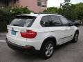 Alpine White - X5 xDrive30i Photo No. 2