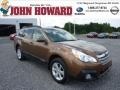Caramel Bronze Pearl - Outback 2.5i Premium Photo No. 1
