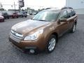 Caramel Bronze Pearl - Outback 2.5i Premium Photo No. 3