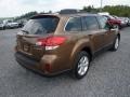 Caramel Bronze Pearl - Outback 2.5i Premium Photo No. 7