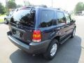 True Blue Metallic - Escape XLT V6 4WD Photo No. 7