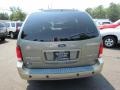 2005 Spruce Green Metallic Ford Freestar Limited  photo #8