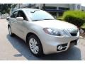 Palladium Silver Metallic - RDX SH-AWD Technology Photo No. 1