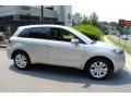 Palladium Silver Metallic - RDX SH-AWD Technology Photo No. 3