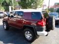 Brick Red - FJ Cruiser 4WD Photo No. 10