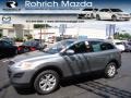 Liquid Silver Meatllic - CX-9 Touring AWD Photo No. 1