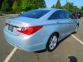 Iridescent Silver Blue Metallic - Sonata Limited Photo No. 6