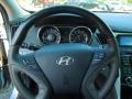 Gray Steering Wheel Photo for 2011 Hyundai Sonata #69539847