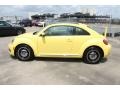 Yellow Rush - Beetle 2.5L Photo No. 5