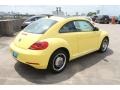 Yellow Rush - Beetle 2.5L Photo No. 8