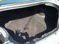 Agate Trunk Photo for 2000 Dodge Intrepid #69551272