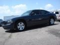 Steel Blue Metallic - Charger SE Photo No. 2