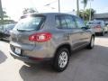 Alpine Grey Metallic - Tiguan S 4Motion Photo No. 5