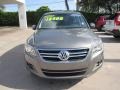 Alpine Grey Metallic - Tiguan S 4Motion Photo No. 8