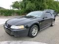 Black 2000 Ford Mustang V6 Coupe Exterior