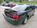 2000 Black Ford Mustang V6 Coupe  photo #3