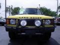 2002 Borrego Yellow Land Rover Discovery II SE  photo #4