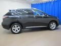 2010 Obsidian Black Lexus RX 350 AWD  photo #10