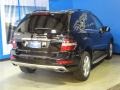 Black - ML 350 4Matic Photo No. 8