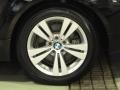Jet Black - 5 Series 528xi Sedan Photo No. 33