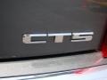 Thunder Gray Chromaflair - CTS Sedan Photo No. 33