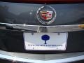 Thunder Gray Chromaflair - CTS Sedan Photo No. 36