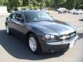 Steel Blue Metallic - Charger  Photo No. 3