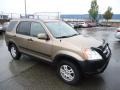 Mojave Mist Metallic 2003 Honda CR-V EX 4WD Exterior