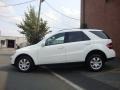 Alabaster White - ML 350 4Matic Photo No. 9