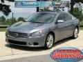 Ocean Gray - Maxima 3.5 SV Photo No. 1