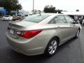 2011 Camel Pearl Hyundai Sonata Limited  photo #8