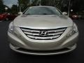 2011 Camel Pearl Hyundai Sonata Limited  photo #13