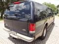 Deep Wedgewood Blue Metallic - Excursion Limited Photo No. 6