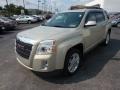 2010 Gold Mist Metallic GMC Terrain SLE AWD  photo #3