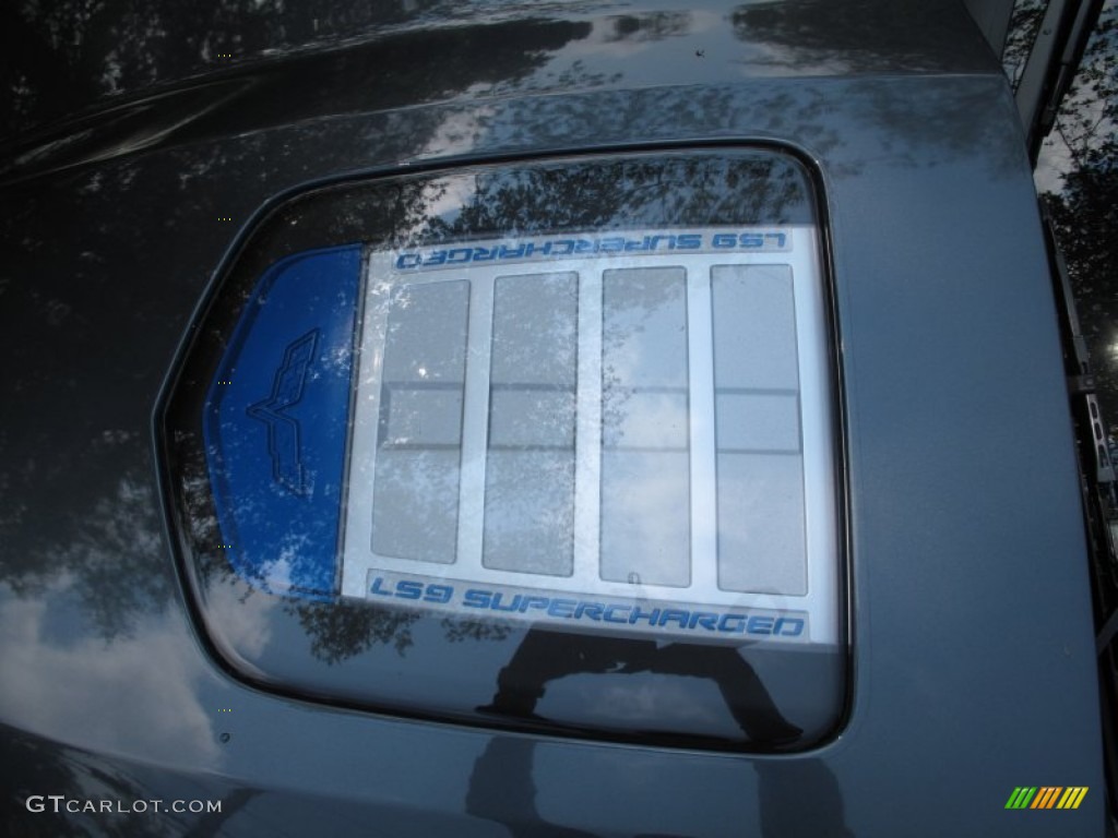 Clear panel hood 2009 Chevrolet Corvette ZR1 Parts