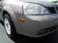 Champagne Beige Metallic - Forenza LX Photo No. 2