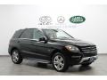Black - ML 350 4Matic Photo No. 1