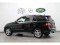 Black - ML 350 4Matic Photo No. 5