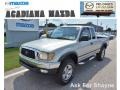 Lunar Mist Metallic 2002 Toyota Tacoma PreRunner Xtracab