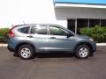 Opal Sage Metallic - CR-V LX Photo No. 2