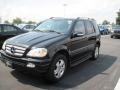 2005 Black Mercedes-Benz ML 350 4Matic  photo #1