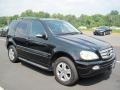 Black - ML 350 4Matic Photo No. 4