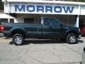 2005 Aspen Green Metallic Ford F150 XLT Regular Cab 4x4  photo #1