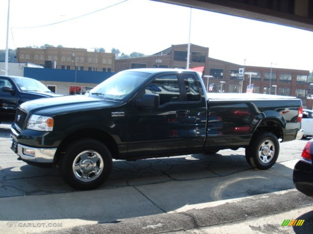 2005 F150 XLT Regular Cab 4x4 - Aspen Green Metallic / Medium Flint Grey photo #4