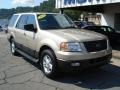 Pueblo Gold Metallic - Expedition XLT 4x4 Photo No. 2