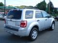 Ingot Silver Metallic - Escape XLT V6 4WD Photo No. 7