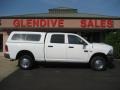 2010 Bright White Dodge Ram 2500 ST Crew Cab 4x4  photo #3