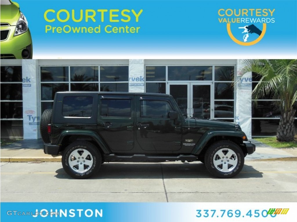 2010 Wrangler Unlimited Sahara 4x4 - Natural Green Pearl / Dark Slate Gray/Medium Slate Gray photo #1