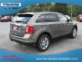 2013 Mineral Gray Metallic Ford Edge Limited AWD  photo #6